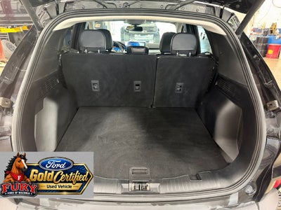 2025 Ford Escape Platinum Gold Certified