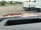 2026 Ford F-350SD Platinum FX4 w/5th Wheel Prep & Twin Panel Moonroo