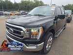 2023 Ford F-150 XLT Blue Certified