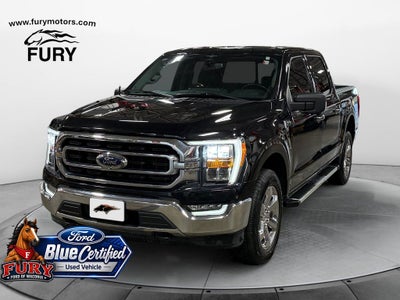 2023 Ford F-150 XLT Blue Certified