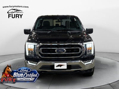 2023 Ford F-150 XLT Blue Certified