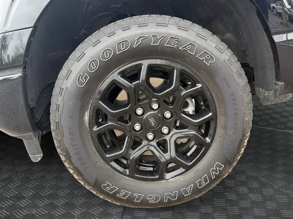 2025 Ford F-150 XLT w/Black Sport Appearance & Tow Haul Pkg