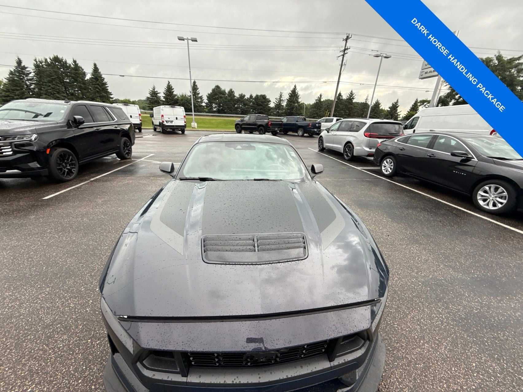 2024 Ford Mustang Dark Horse Fastback