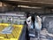 2015 Chevrolet Silverado 1500 2LZ